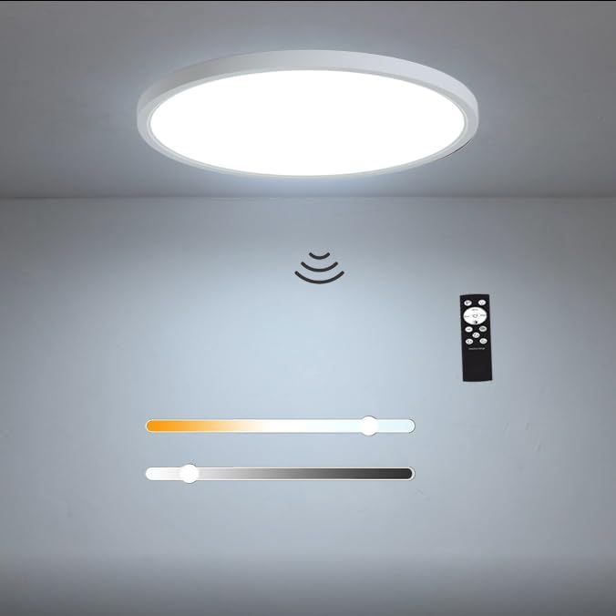 Ceiling Lights
