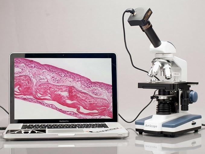 AmScope M620B Compound Monocular Microscope, WF10x and WF20x Eyepieces - Image 6