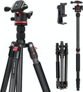 NEEWER Basics Carbon Fiber Travel Tripod Monopod, Arca Type Ball Head, Max Load by Neewer