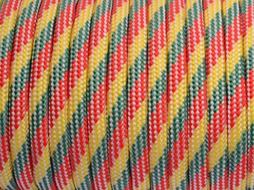 7 Strand Core 550lb Paracord Parachute Cord Lanyard Mil Spec Type III-100ft) by Unknown
