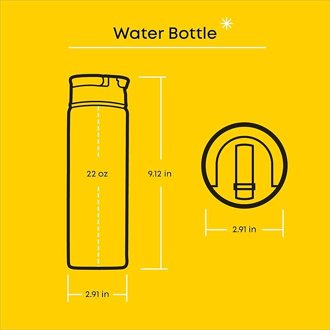 JoyJolt Disney Retro Vintage Stainless Steel Water Bottle ft Mickey & Minnie - Image 3