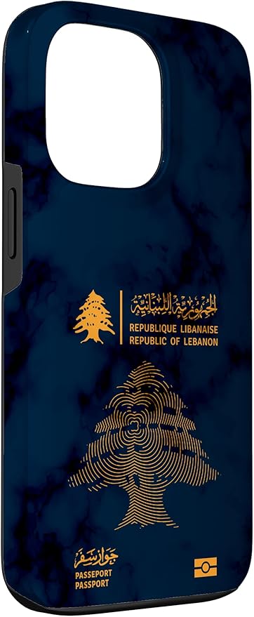 Lebanon, Lebanon Passport, Lebanon Flag, Lebanon map. Case - Image 3