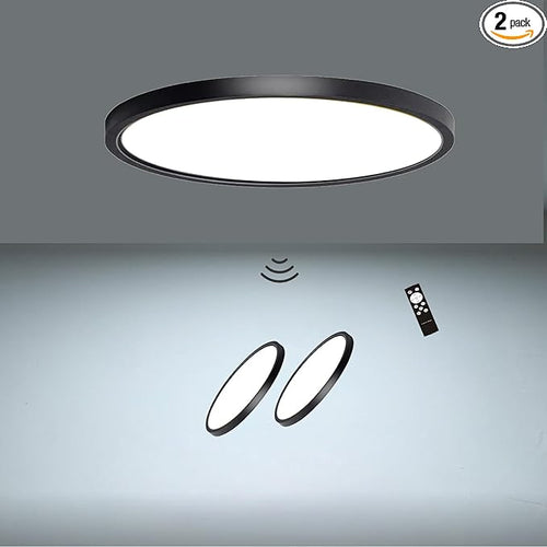 2 Pack Motion Sensor Ceiling Light by Unknown