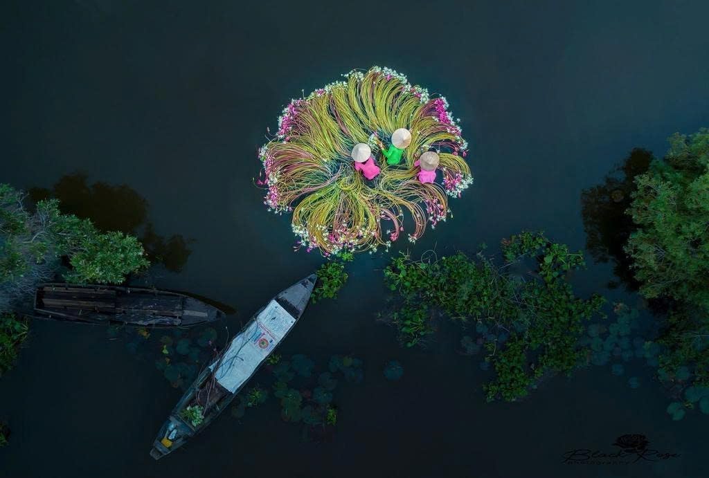 Vietnamese Natural Straw Broom/Handmade Coconut Leaf Broom for Outdoor, Patio, Driveway, Garden, Fireplace (26" Length)