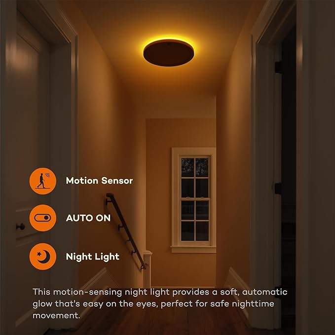 Annaror Motion Sensor Ceiling Light - Image 4