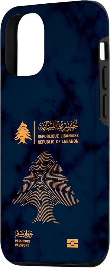 Lebanon, Lebanon Passport, Lebanon Flag, Lebanon map. Case - Image 2