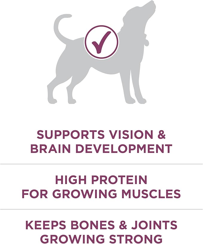 Purina ONE Plus Healthy Puppy Formula High Protein Natural Dry Puppy Food - Image 4