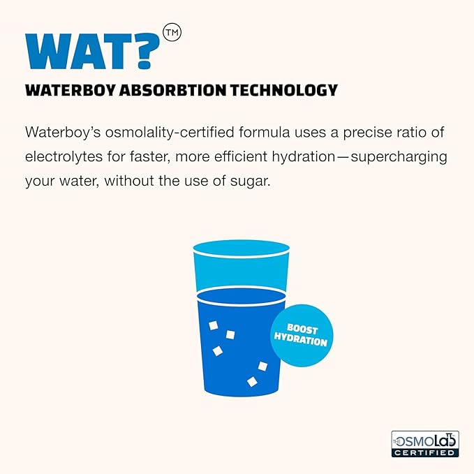 Waterboy Workout Hydration | 2, 960mg Sugar Free Electrolyte Powder Packets | - Image 6