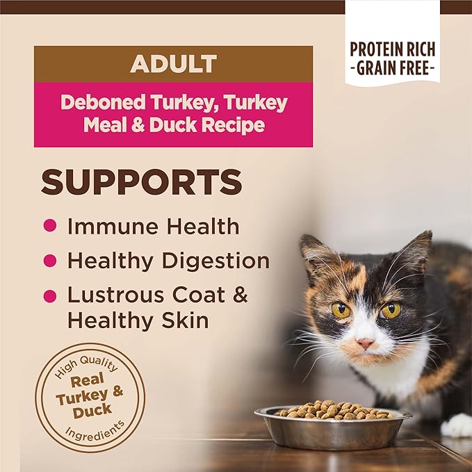 Wellness CORE Adult Dry Cat Food, Grain Free Kibble, Turkey Meal and Duck Recipe - Image 2