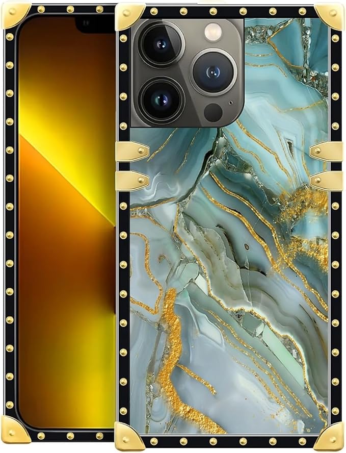 Compatible with iPhone 13 Pro Max Case by Unknown