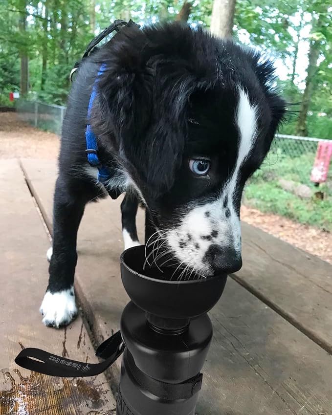 lesotc Dog Water Bottle, Portable Water Dispenser - Image 7