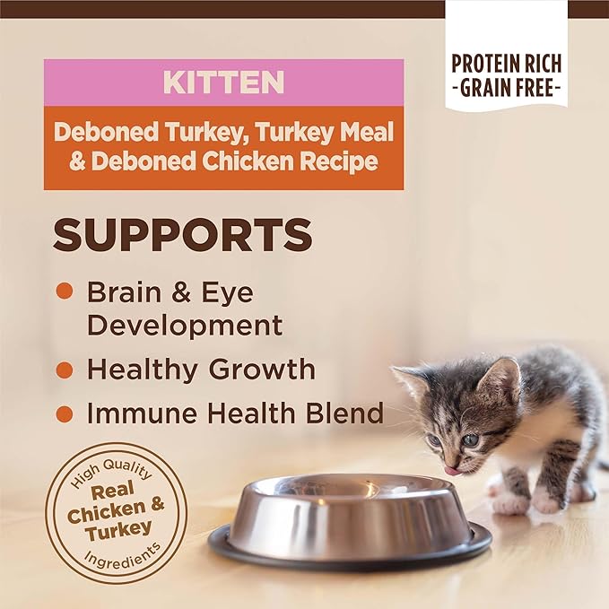 Wellness CORE Kitten Dry Cat Food, Grain Free Kibble, Turkey Meal and Chicken - Image 2