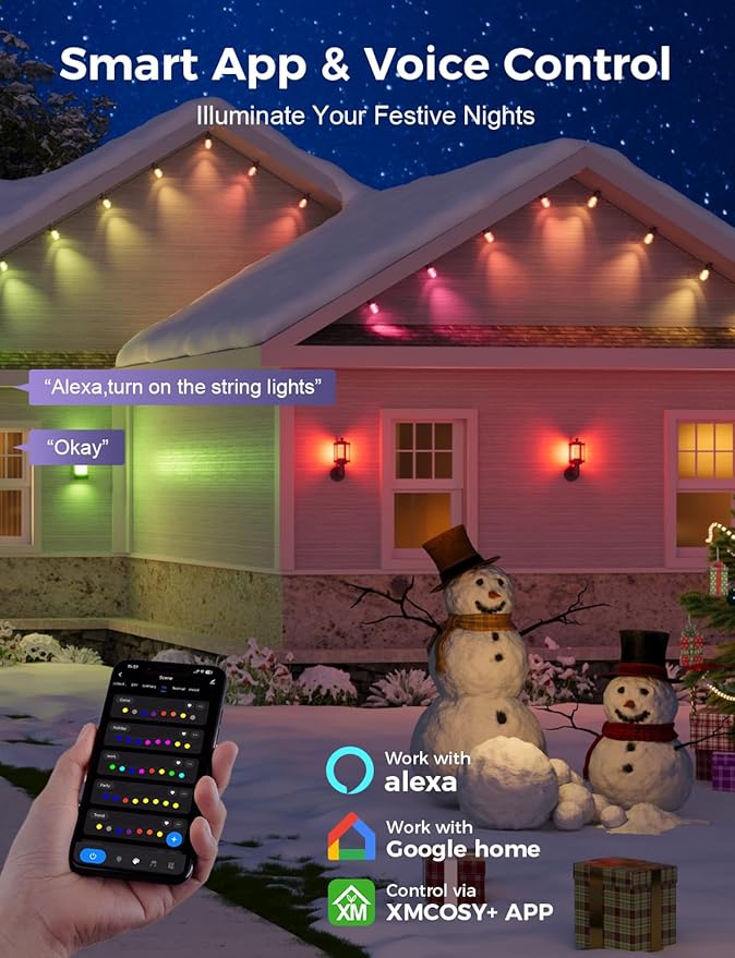XMCOSY+ 48FT Smart Outdoor String Lights - Image 2