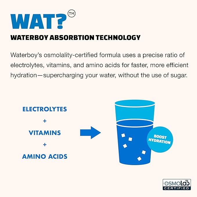 Waterboy Daily Hydration | 1, 570mg Electrolyte Powder Packets | No Sugar - Image 6