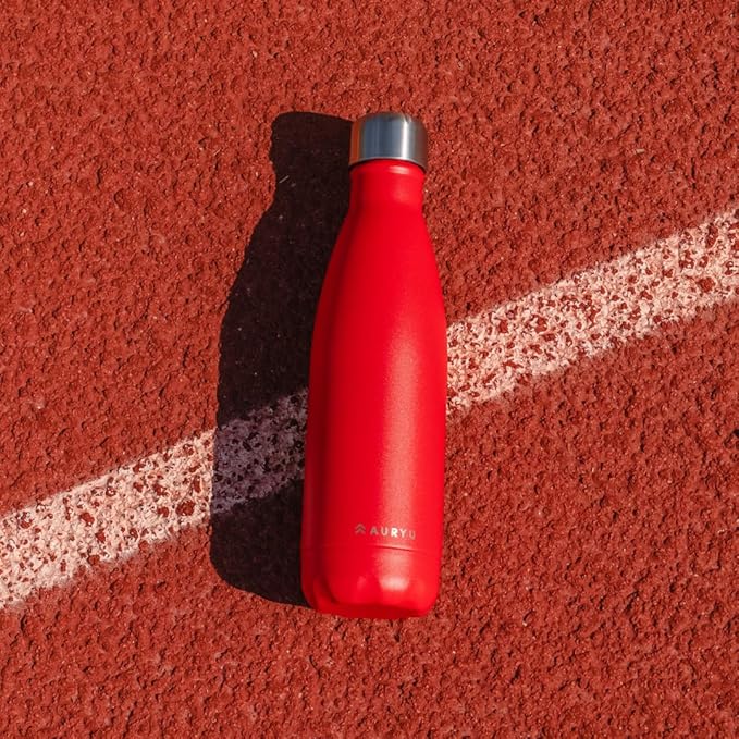 Triple-Walled Insulated Stainless Steel Water Bottle, 17oz Capacity, Keeps - Image 2