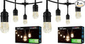 Enbrighten Classic Warm White String Lights, 48ft Black Cord, 24 Shatterproof by Enbrighten