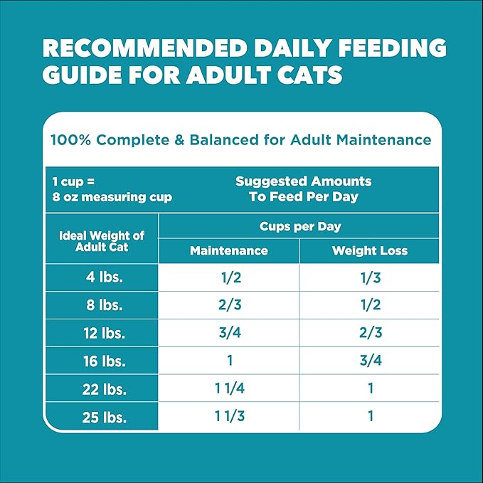 IAMS Proactive Health Dry Cat Food, Indoor Weight and Hairball Care Cat Food - Image 9