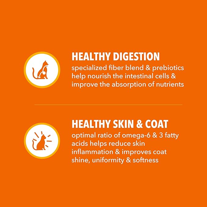 IAMS Proactive Health Dry Cat Food, Healthy Cat Food Dry Recipe - Image 5