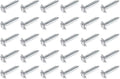 Lawn Chair USA Webbing Screws, 30 Pack by LawnChairUSA