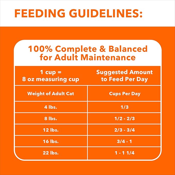 IAMS Healthy Enjoyment Dry Cat Food Chicken & Salmon Recipe, Cat Food Dry Recipe - Image 7