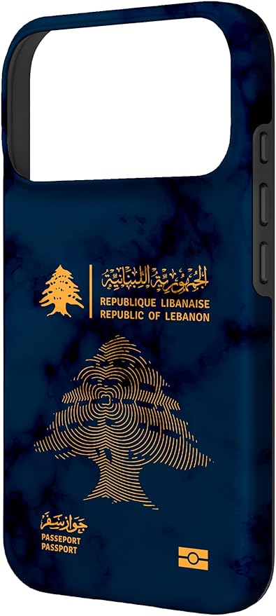 Lebanon, Lebanon Passport, Lebanon Flag, Lebanon map. Case - Image 2