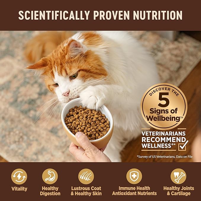 Wellness CORE Adult Dry Cat Food, Grain Free Kibble, Turkey Meal and Duck Recipe - Image 4