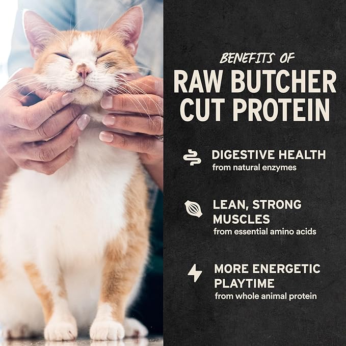 Vital Essentials Freeze Dried Cat Treats | Salmon Bites, Single Protein | - Image 4