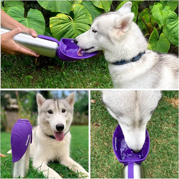 PupFlask Large Dog Water Bottle | 27 or 40 OZ Stainless Steel | Convenient Dog - Image 6