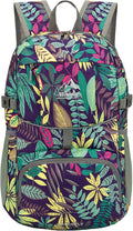 WATERFLY Hiking Packable Daypack Backpack: 25L Ultra Lightweight Day Pack by Waterfly