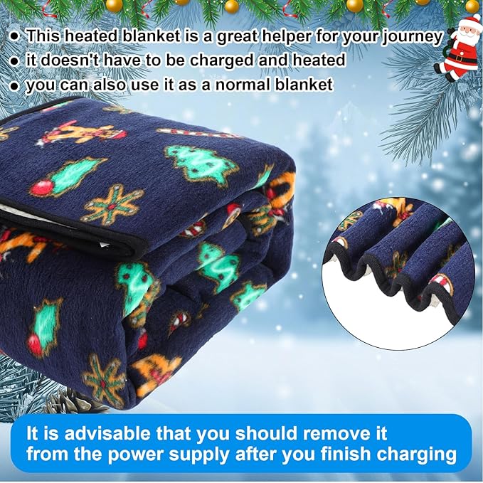 Riakrum 12V Car Heated Blanket for Cold - Image 5