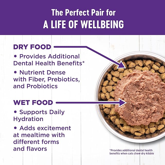 Wellness Complete Health Adult Dry Cat Food - Image 4
