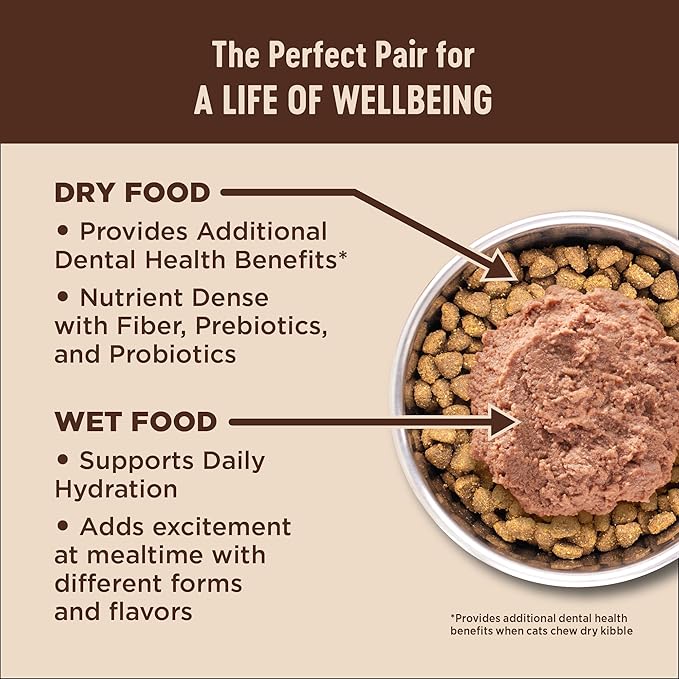 Wellness CORE Adult Dry Cat Food, Grain Free Kibble, Turkey Meal and Chicken - Image 6