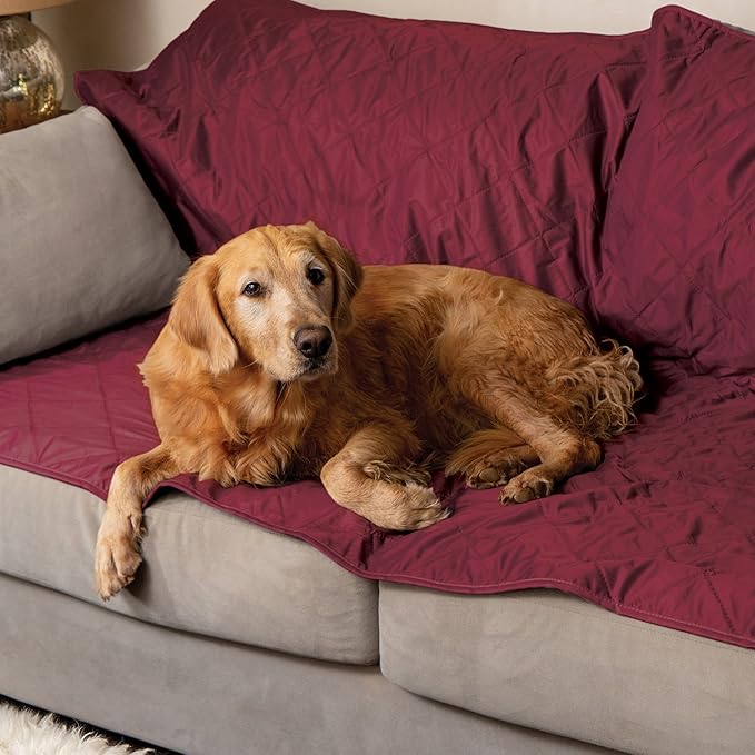 BRAWNTIDE Large Outdoor Waterproof Blanket - Image 7