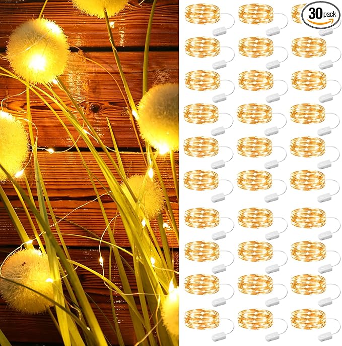 ZSJWL 30 Pack Fairy Lights Battery Operated Warm White, 7Ft 20LED Mini String by ZSJWL