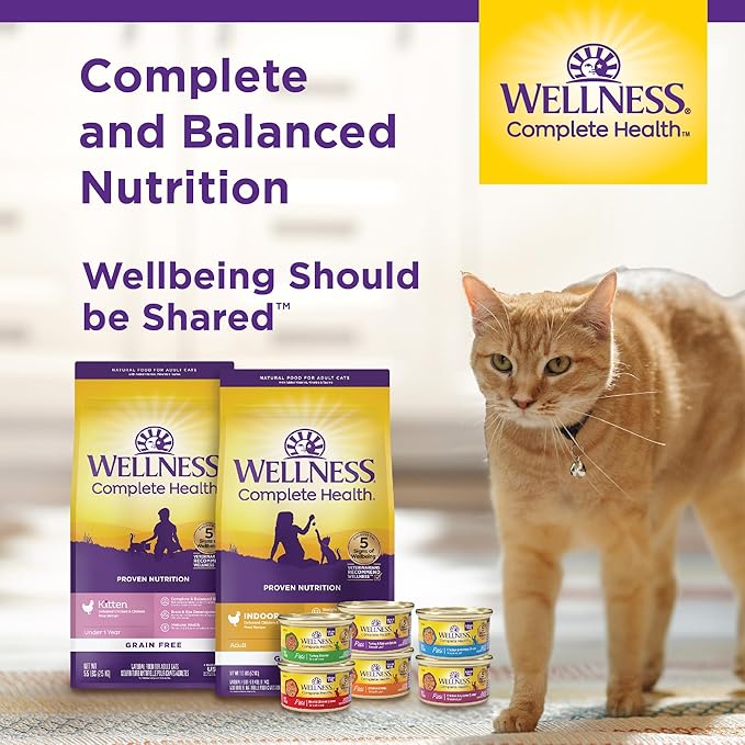 Wellness Complete Health Adult Dry Cat Food - Image 7