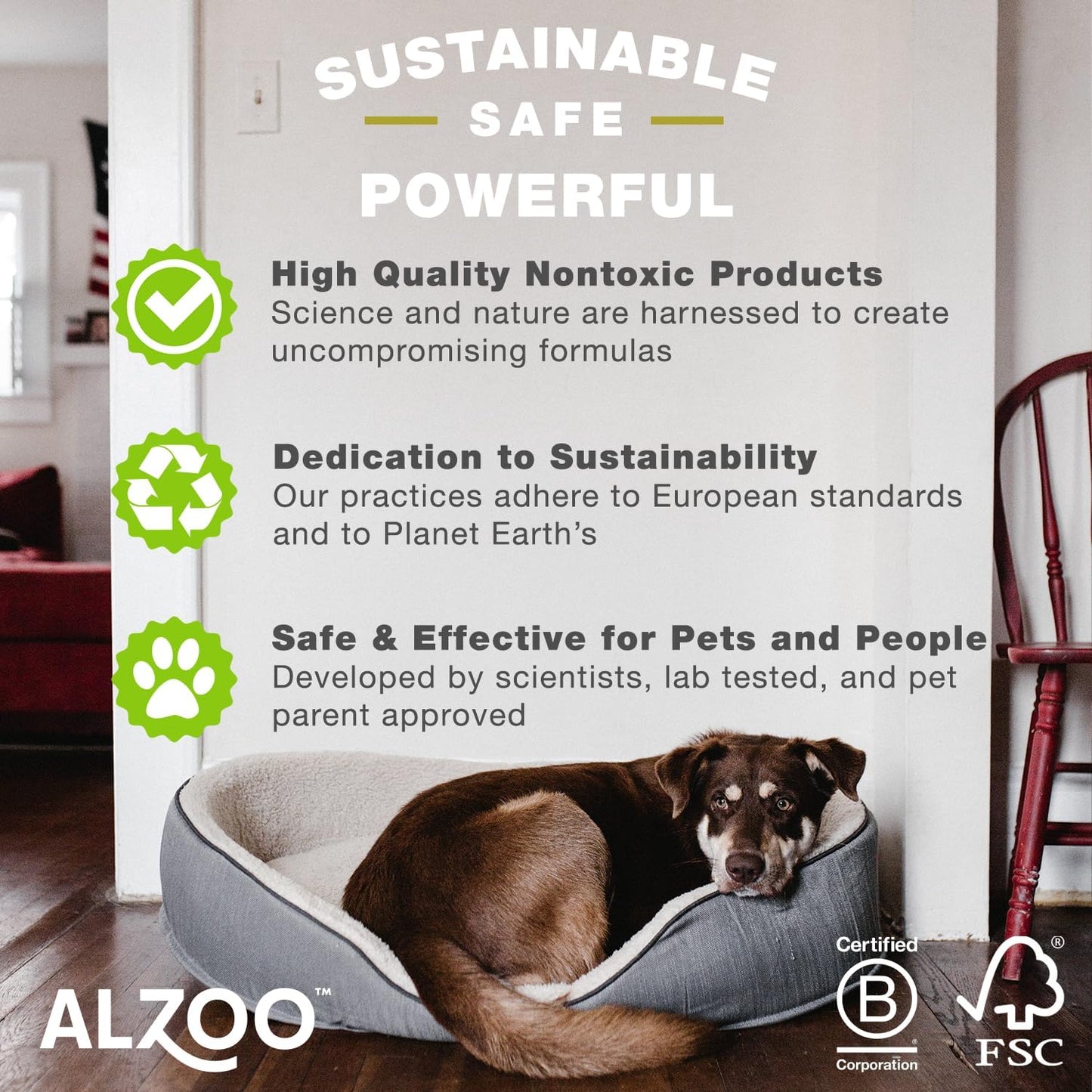 ALZOO Stain & Odor Remover, Quickly Lifts & Dissolves Pet Stains & Helps Eliminate Odors, 100% Plant-Based Active Ingredients, Lavender Vanilla Scent, 16 Fl. Oz Spray Bottle