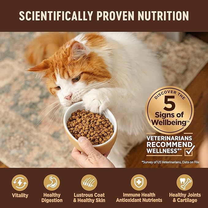 Wellness CORE Adult Dry Cat Food, Grain Free Kibble, Turkey and Duck Recipe - Image 4