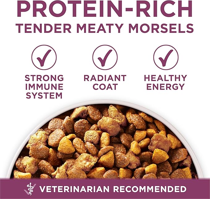 Purina ONE Plus Healthy Puppy Formula High Protein Natural Dry Puppy Food - Image 7