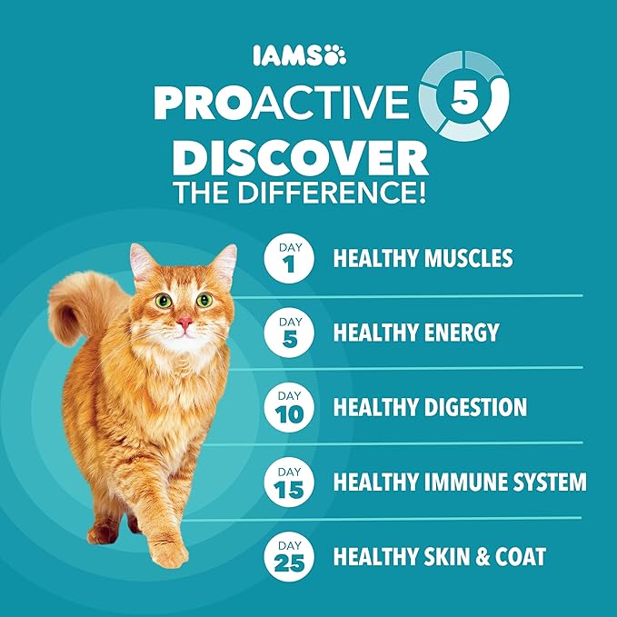 IAMS Proactive Health Dry Cat Food, Indoor Weight and Hairball Care Cat Food - Image 3