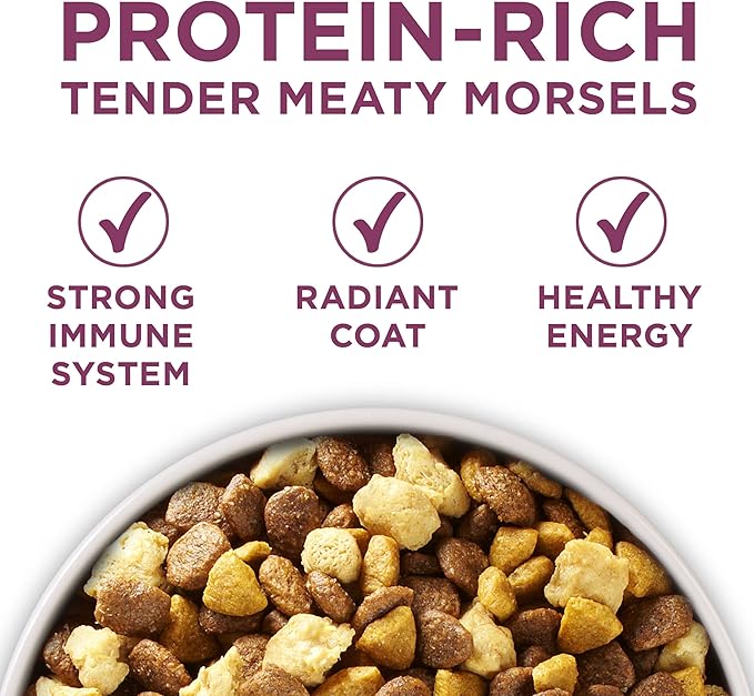 Purina ONE Puppy Food, High Protein Formula | Natural Ingredients | Added - Image 4