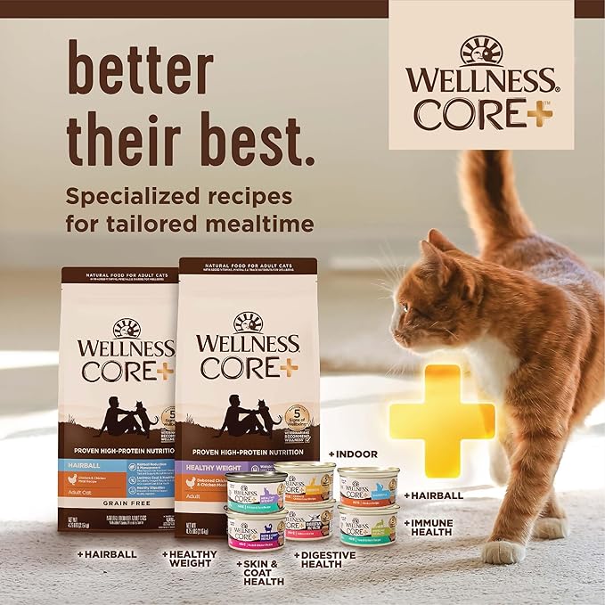 Wellness CORE+ Adult Dry Cat Food - Image 9