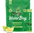 Waterboy Workout Hydration | 2, 960mg Sugar Free Electrolyte Powder Packets | by WaterBoy