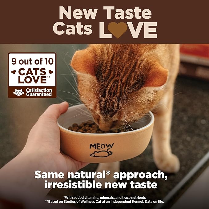 Wellness CORE Adult Dry Cat Food, Grain Free Kibble, Turkey and Chicken Recipe - Image 5