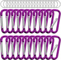 sprookber 2.28" Small Carabiner Clip Keychain, D Ring Caribeaner Clip, Key Clip by Sprookber