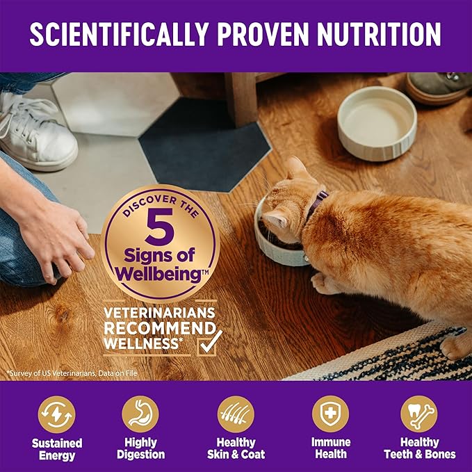 Wellness Complete Health Adult Dry Cat Food - Image 4
