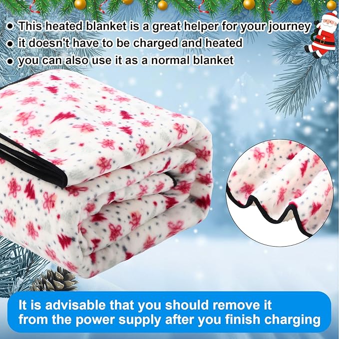 Riakrum 12V Car Heated Blanket for Cold - Image 5
