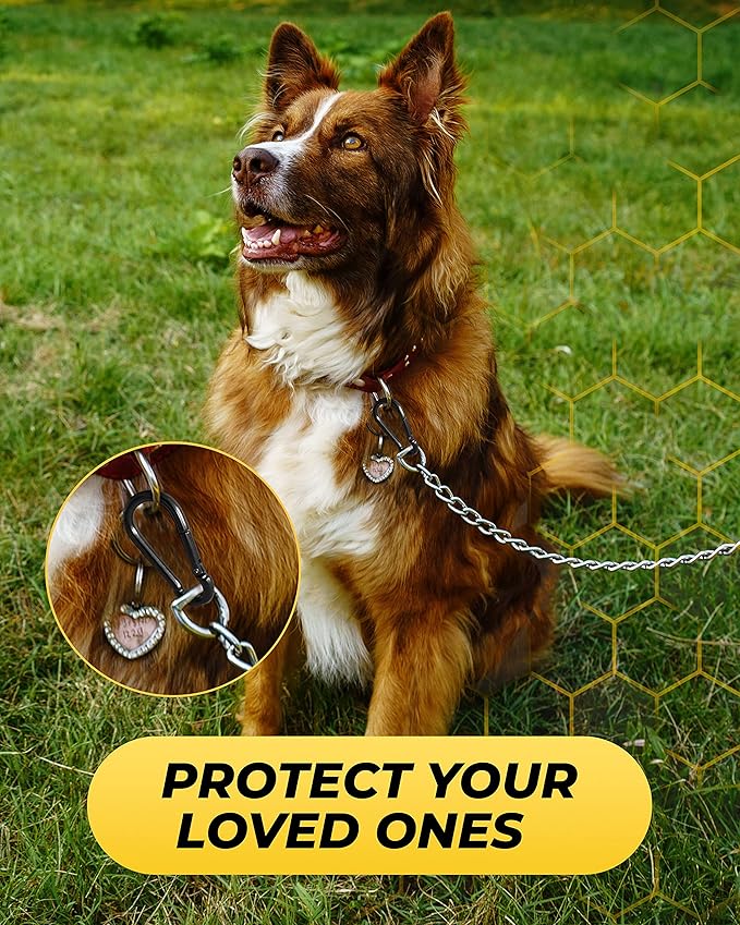 Carabiner Clip 5 PCS - Image 6