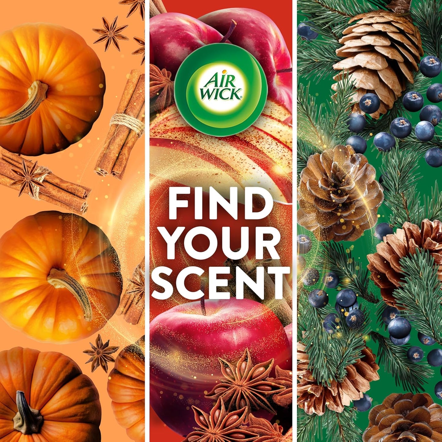Air Wick Scented Oils 0+10 Apple Cinnamon Medley