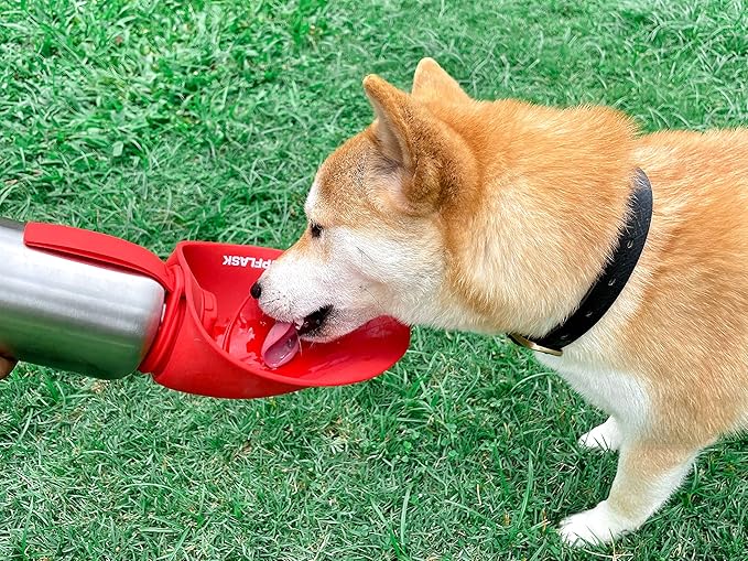 PupFlask Large Dog Water Bottle | 27 or 40 OZ Stainless Steel | Convenient Dog - Image 9