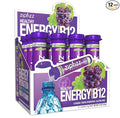 Zipfizz Daily Energy Drink Powder, 12 Pack | 3-in-1 Sustained Energy, Rapid by Zipfizz
